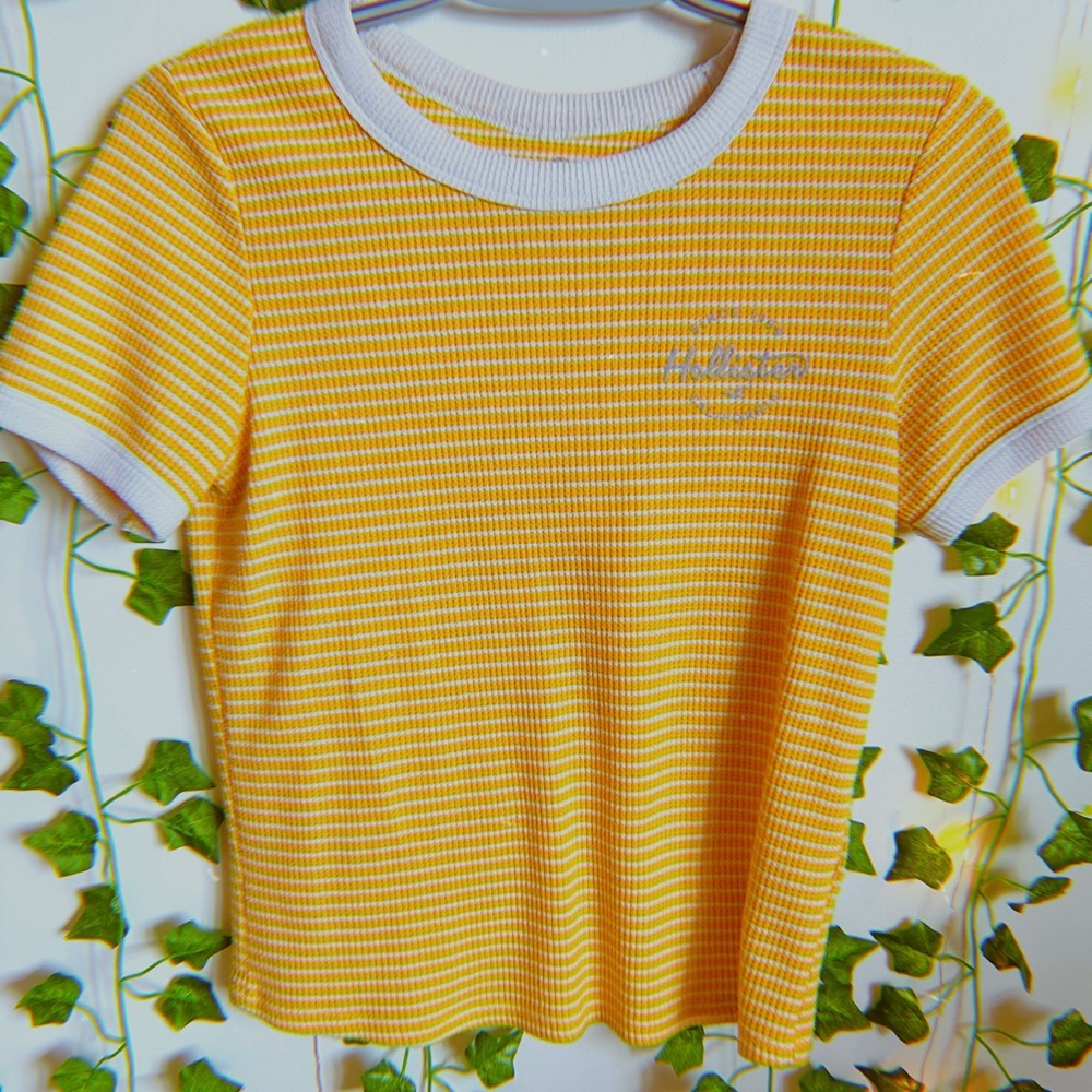 ✰Striped Hollister Tee✰